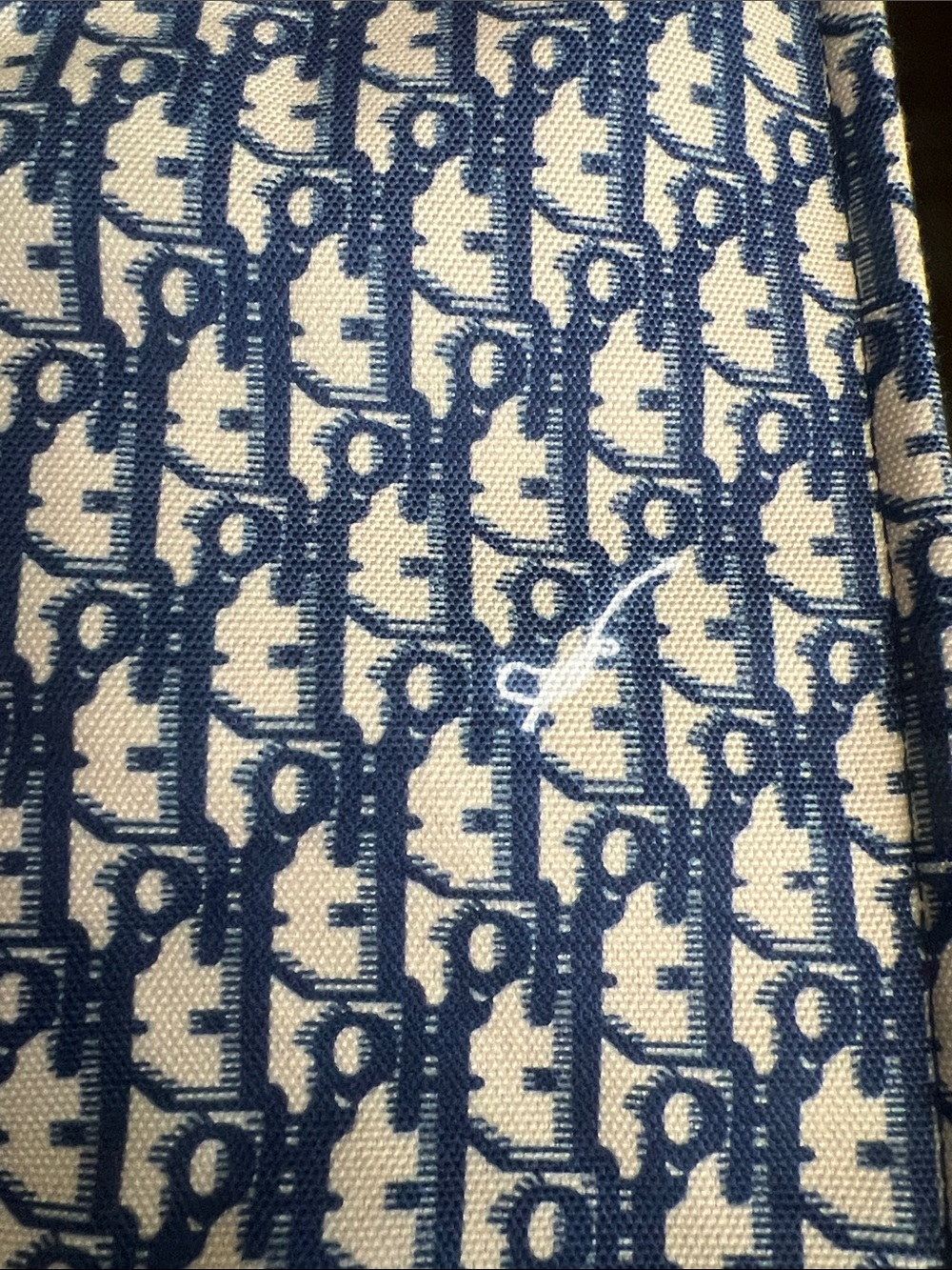 Christian Dior Blue and White Canvas Tote - Picture 11 of 11